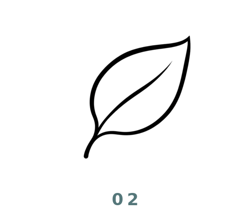 A minimalist black line drawing of a single leaf centered on a white background, with the number '02' in muted blue-gray text below it.