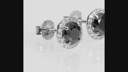 Black Moissanite Halo Stud Earrings